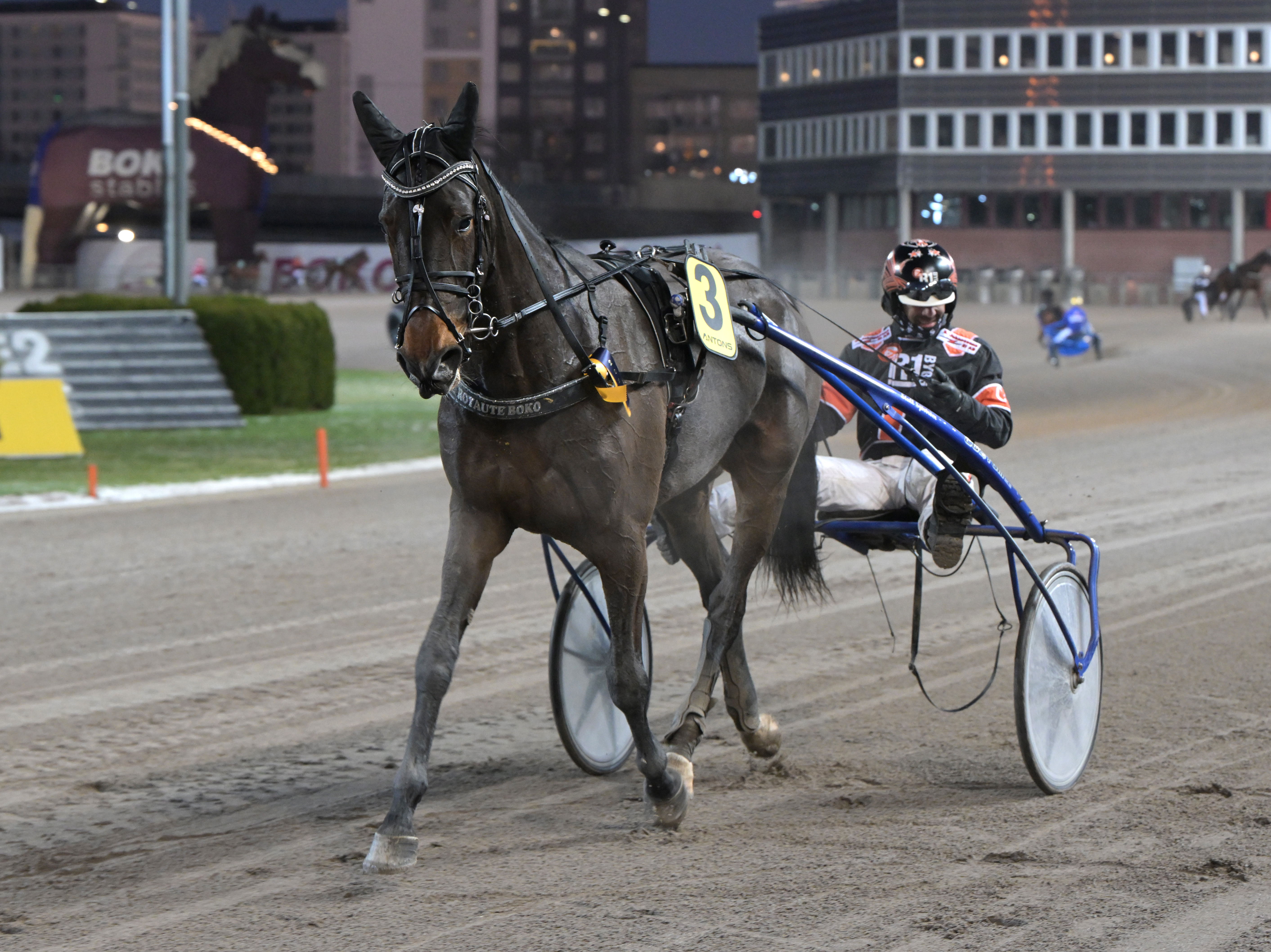 Elitauktionhästarna klara! Boka din resturangplats nu!