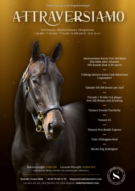 Attraversiamo Artikel hem