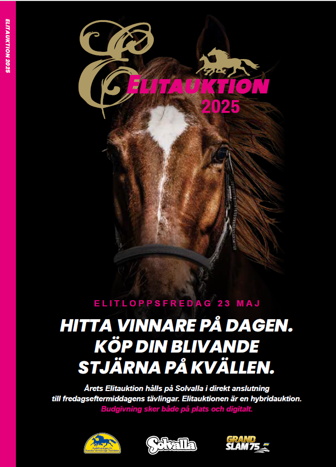 Elitauktionskatalogen är här!