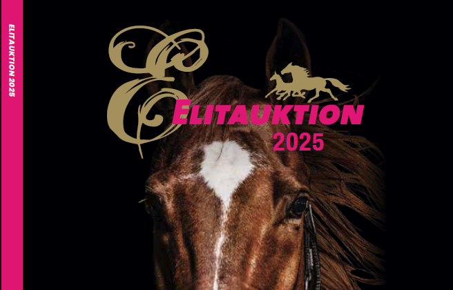 Elitauktionskatalogen är här!
