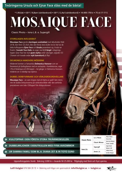 Mosaique Face annons hem