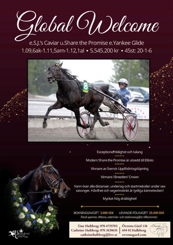 Annons Global Welcome