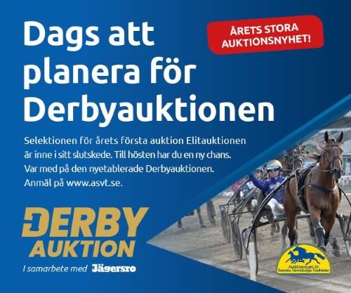 Planera Derbyauktion mellan