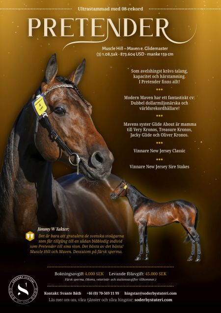 Pretender artikel hem