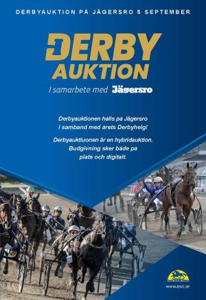 auktionskatalogbildhem