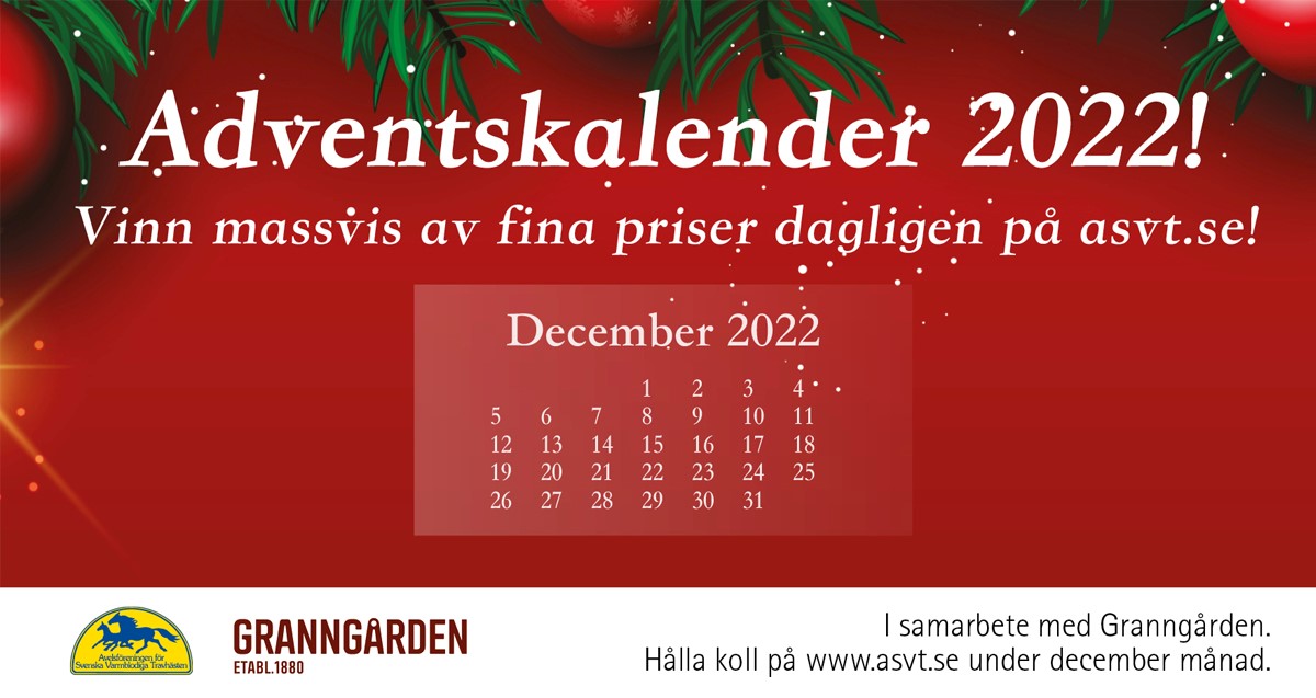Vår samarbetspartner Adriansson Advoktatbyrå är dagens värd i julkalendern!