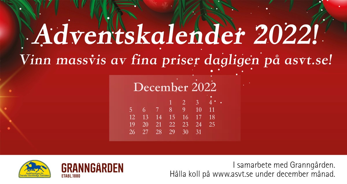 Här är vinnarna i julkalendern 15-20 december!