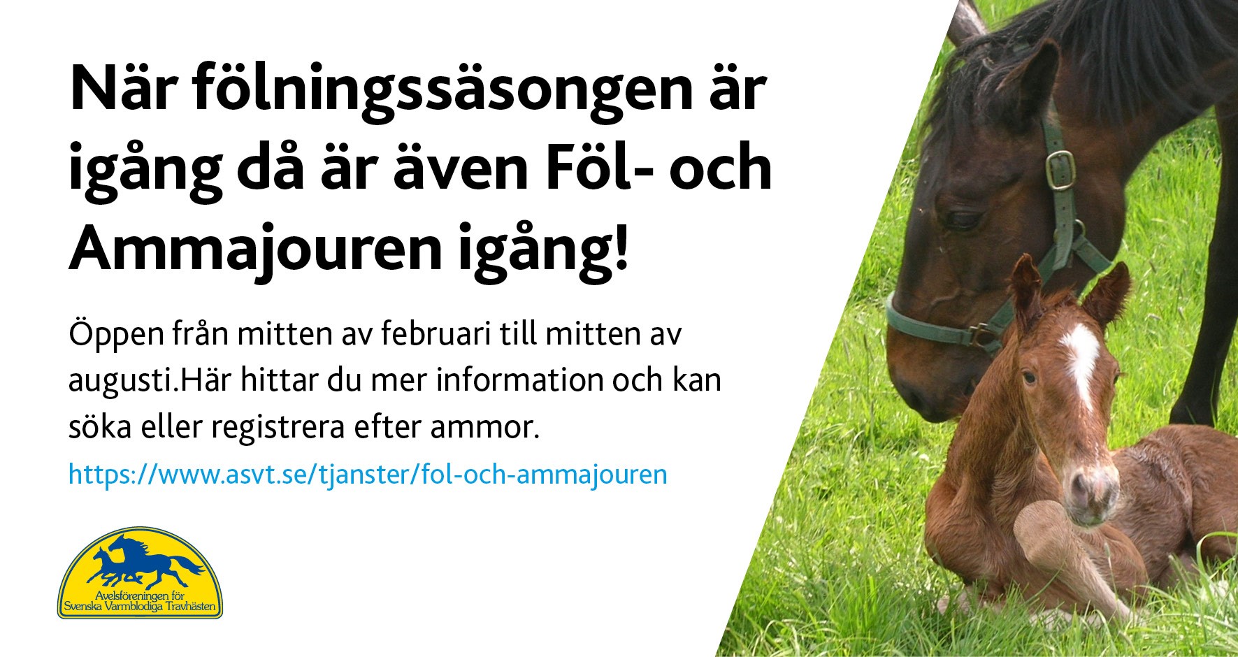 Idag öppnar Föl- & Ammajouren!