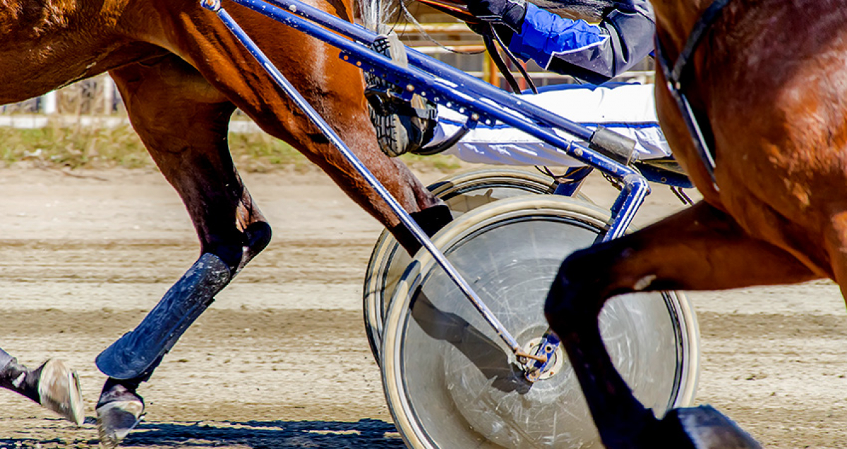 Idag är det Breeders' Crown Finaler i Eskilstuna!